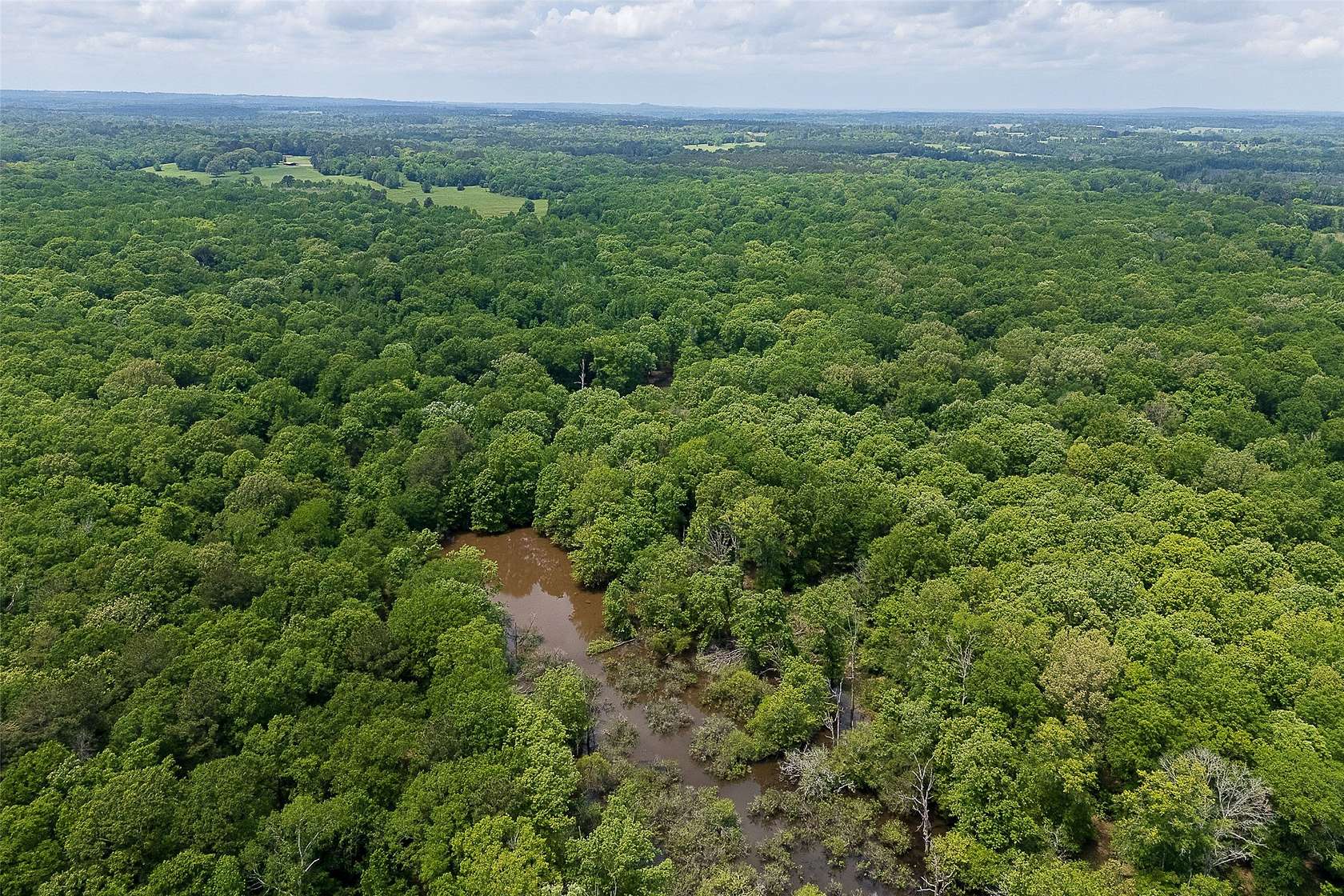 246 Acres of Recreational Land for Sale in Troup, Texas