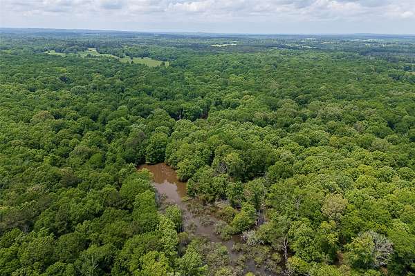 246 Acres of Recreational Land for Sale in Troup, Texas