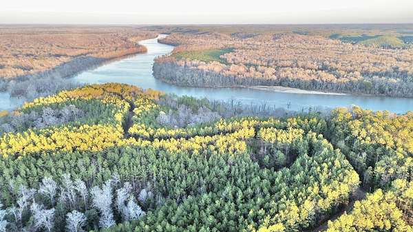 329 Acres of Recreational Land for Sale in Toxey, Alabama