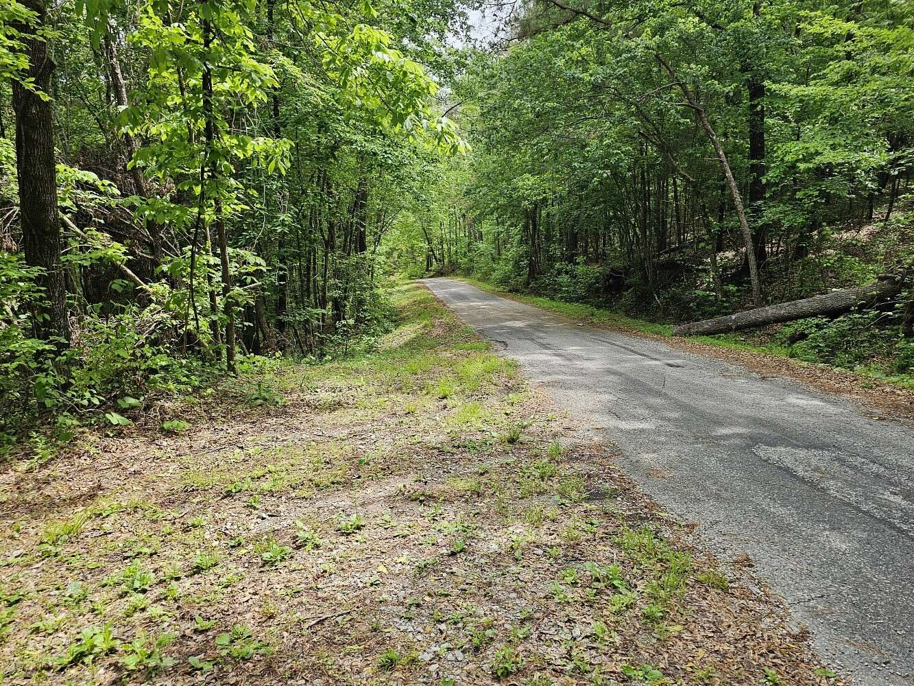 85 Acres of Recreational & Residential Land for Sale in Hamilton, Alabama