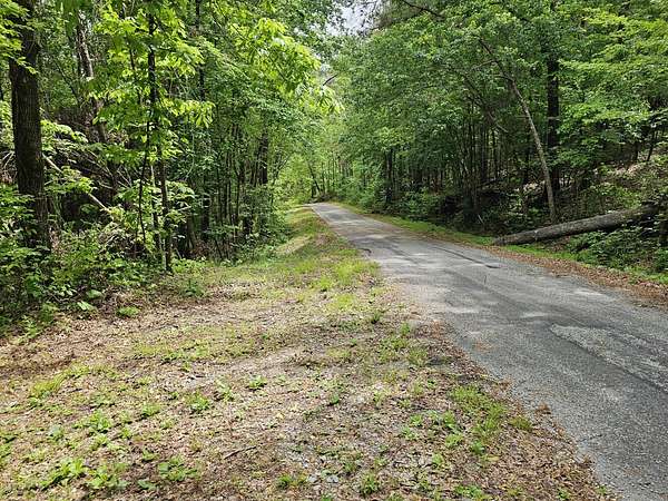 85 Acres of Recreational & Residential Land for Sale in Hamilton, Alabama