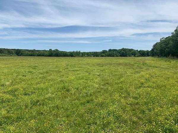 26.4 Acres of Land for Sale in Bruce, Mississippi