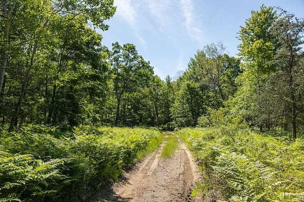 120 Acres of Recreational & Residential Land for Sale in Bitely, Michigan