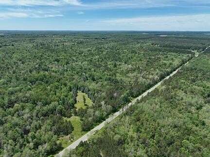 160 Acres of Recreational Land for Sale in Bitely, Michigan