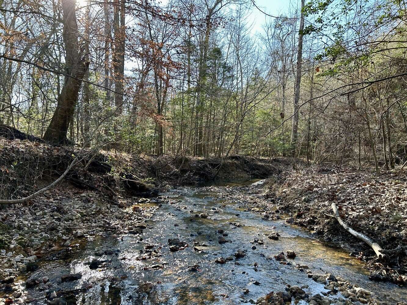 120 Acres of Recreational Land for Sale in Toxey, Alabama
