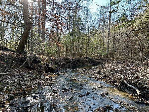120 Acres of Recreational Land for Sale in Toxey, Alabama
