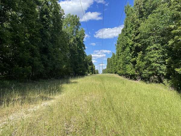 204 Acres of Recreational Land for Sale in Butler, Alabama