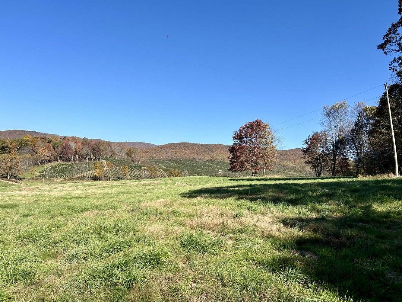 13 Acres of Land for Sale in Sugar Grove, Virginia