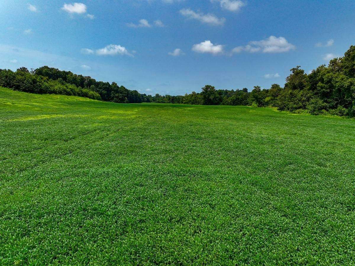 34 Acres of Land for Sale in Benton, Kentucky