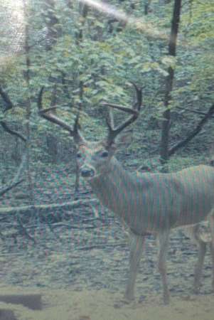 263 Acres of Recreational Land for Sale in Cadiz, Kentucky