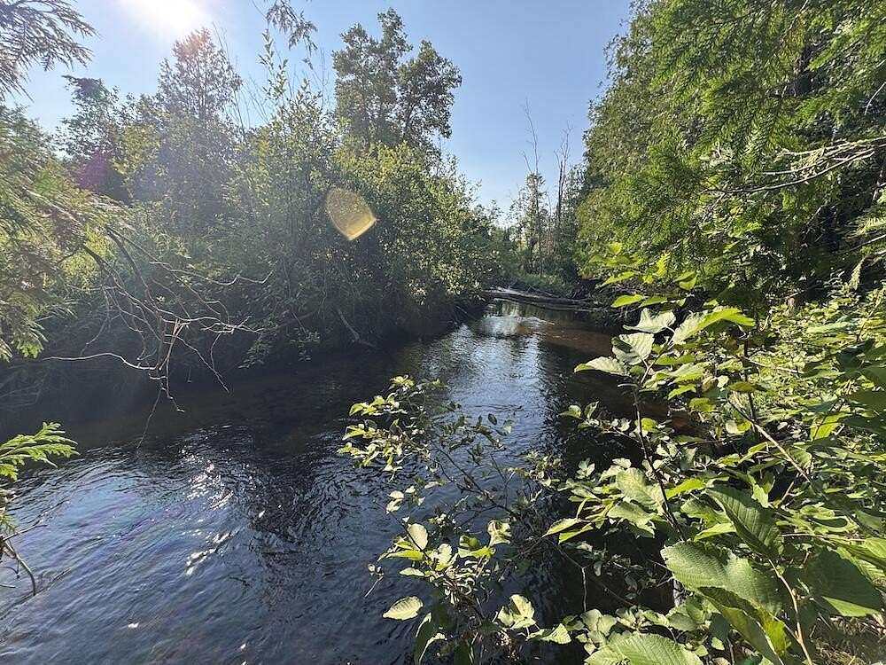 80 Acres of Recreational & Residential Land for Sale in Mikado, Michigan