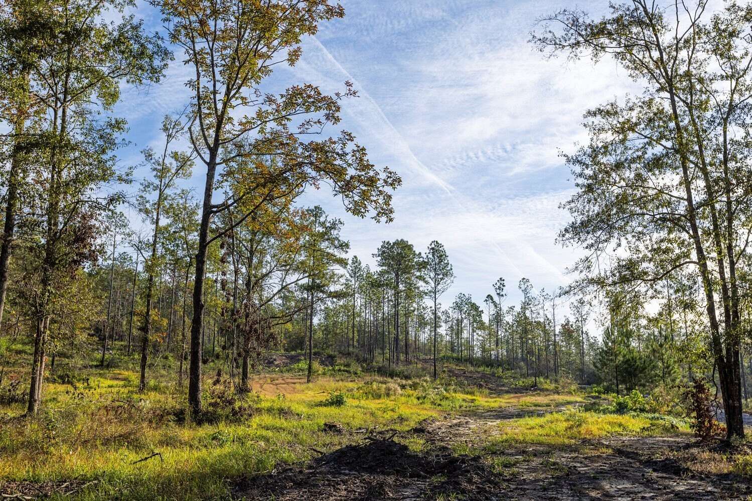 20 Acres of Agricultural & Residential Land for Sale in Bay Minette, Alabama