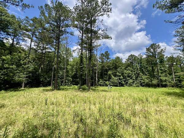 198 Acres of Recreational Land for Sale in Tunnel Springs, Alabama