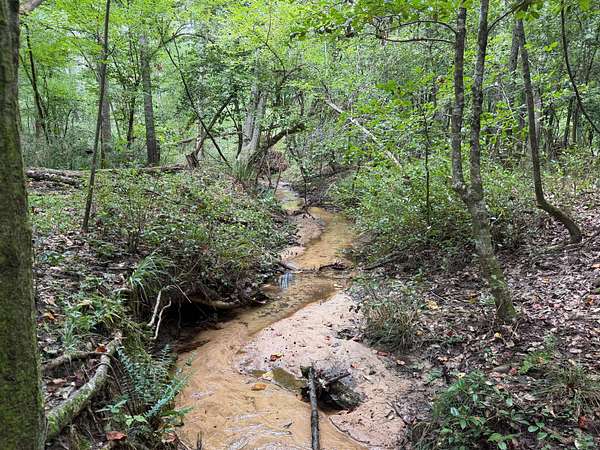 126 Acres of Land for Sale in Waynesboro, Georgia