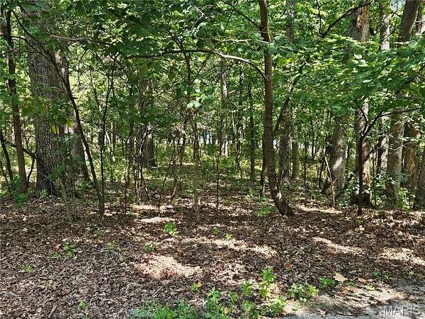 0.36 Acres of Residential Land for Sale in Hillsboro, Missouri
