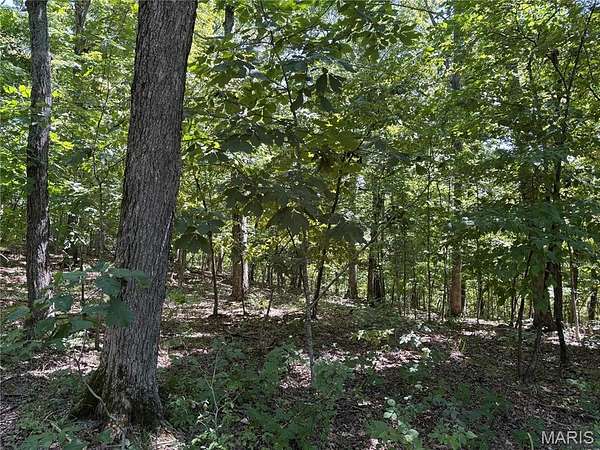 5.49 Acres of Residential Land for Sale in Warrenton, Missouri