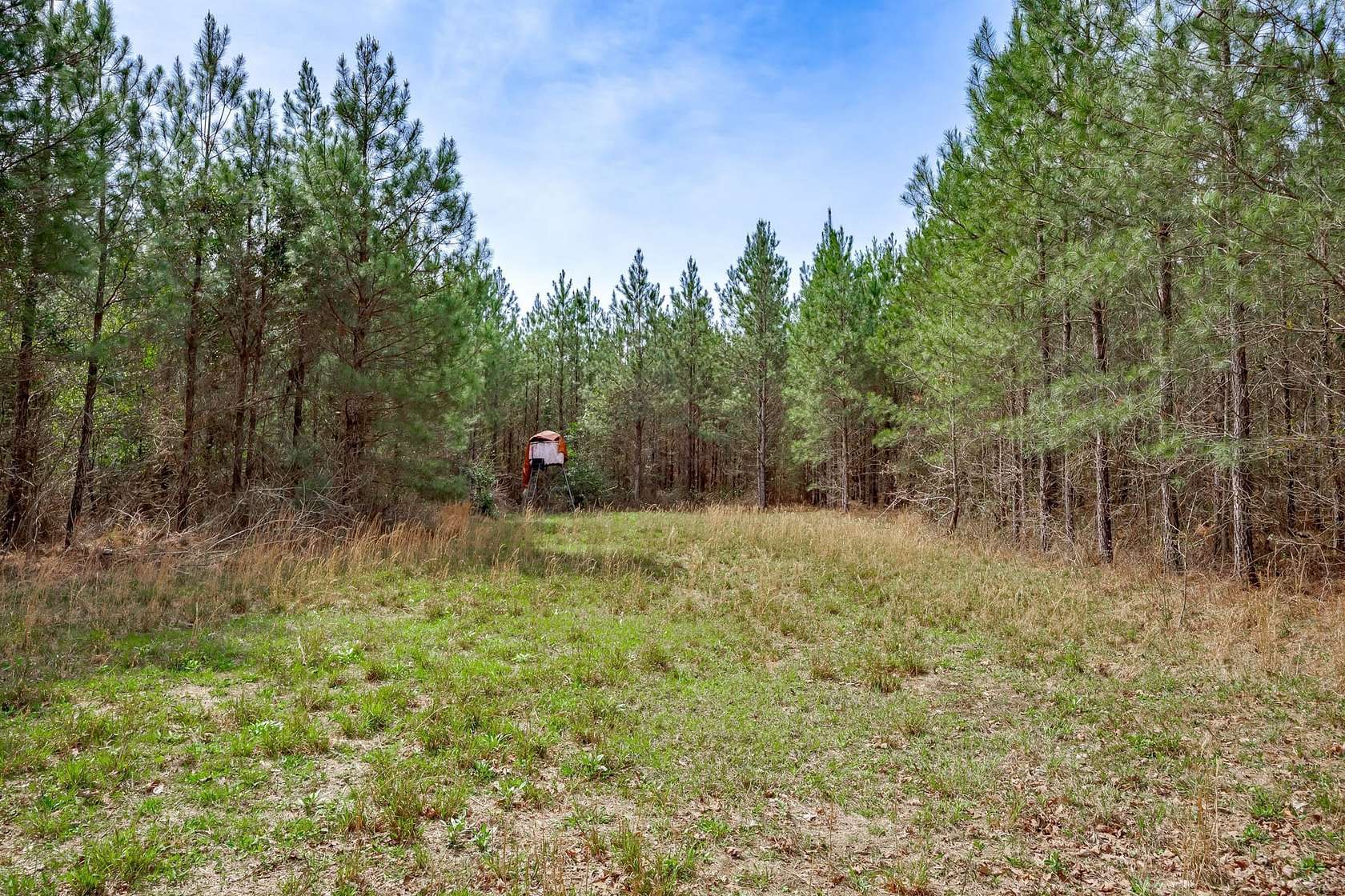 58 Acres of Recreational Land for Sale in Waynesboro, Georgia