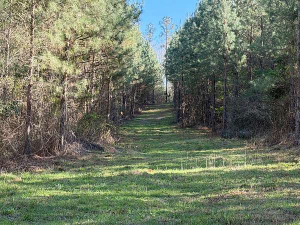 58 Acres of Recreational Land for Sale in Waynesboro, Georgia