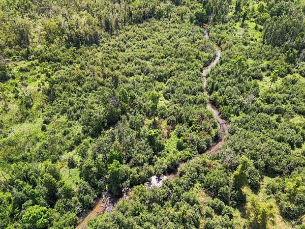155 Acres of Recreational Land for Sale in Weidman, Michigan