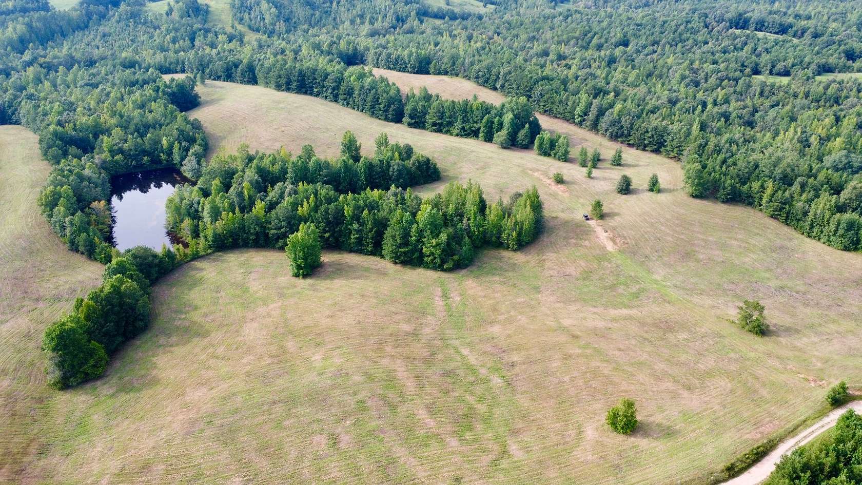 40 Acres of Land for Sale in Wadley, Alabama