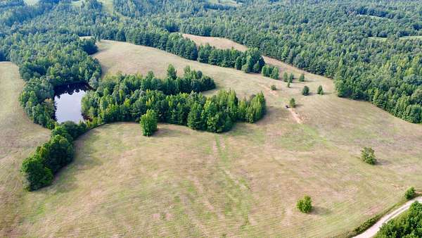 40 Acres of Land for Sale in Wadley, Alabama