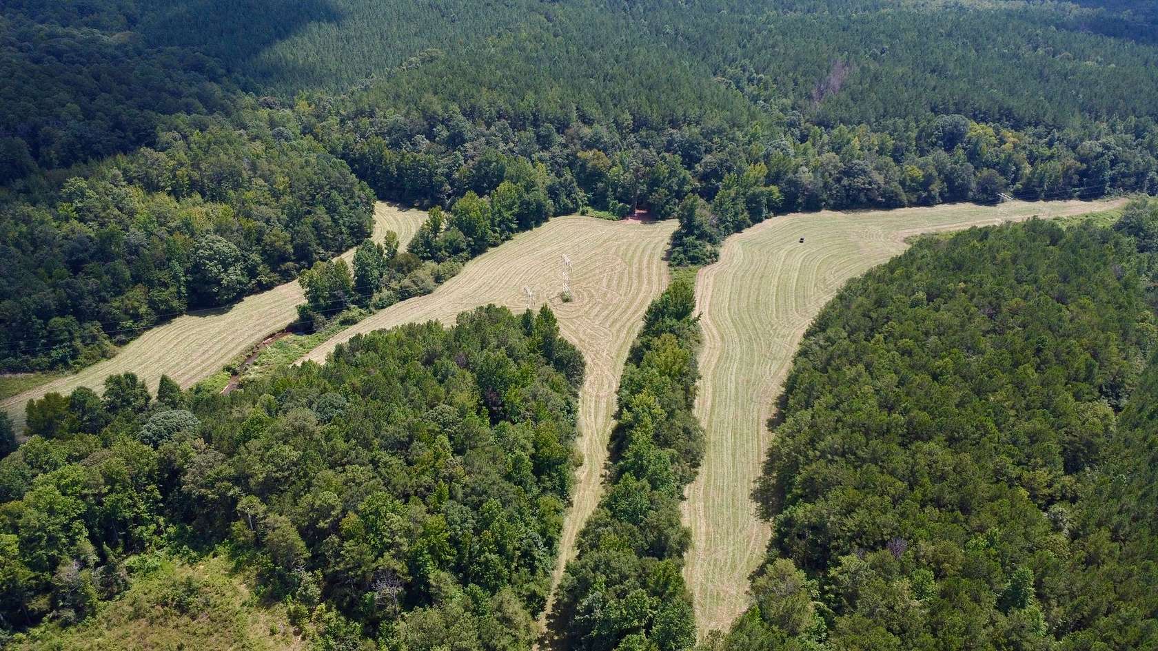 110 Acres of Land for Sale in Wadley, Alabama