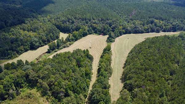 110 Acres of Land for Sale in Wadley, Alabama