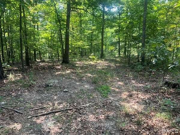 248 Acres of Recreational Land for Sale in Piedmont, Missouri