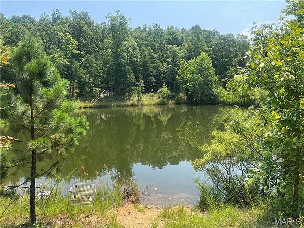 24 Acres of Recreational Land for Sale in Piedmont, Missouri