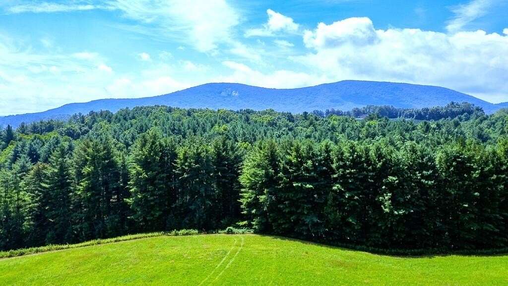 17.2 Acres of Land for Sale in Sparta, North Carolina