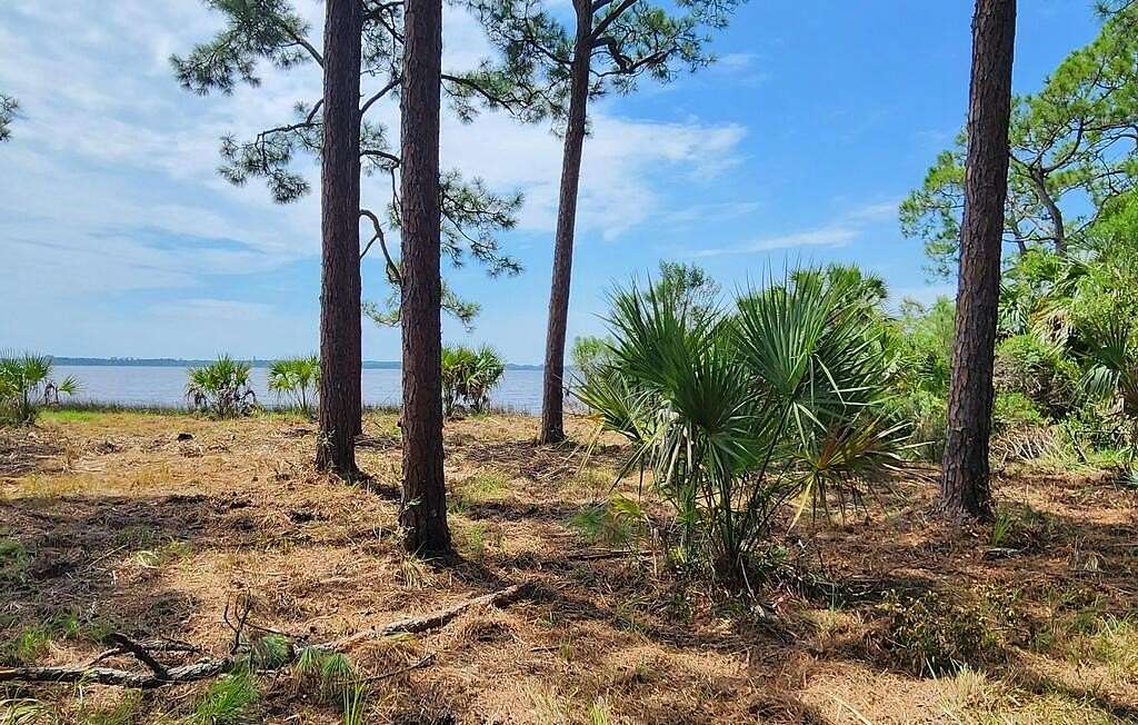 0.2 Acres of Residential Land for Sale in Panacea, Florida
