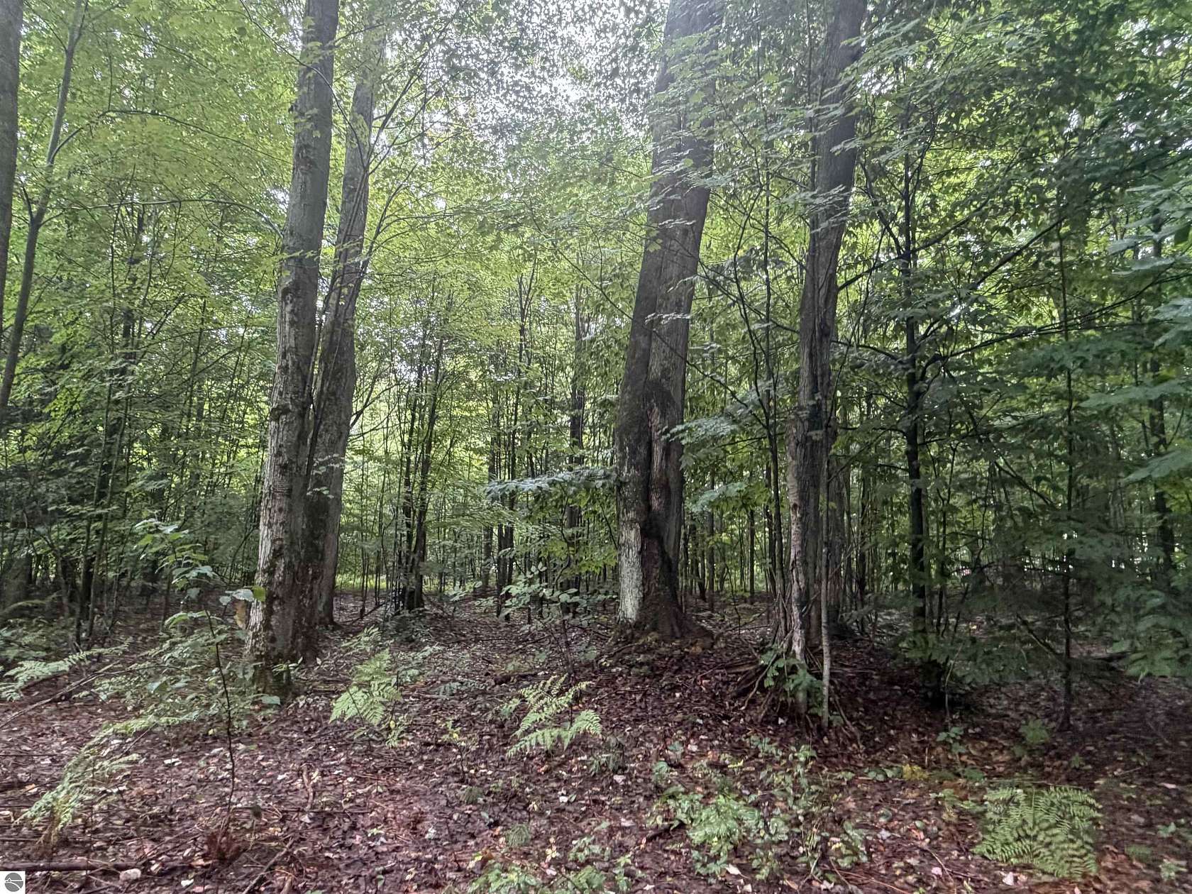 10 Acres of Recreational Land for Sale in Benzonia, Michigan