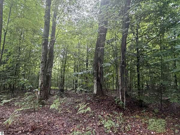 10 Acres of Recreational Land for Sale in Benzonia, Michigan