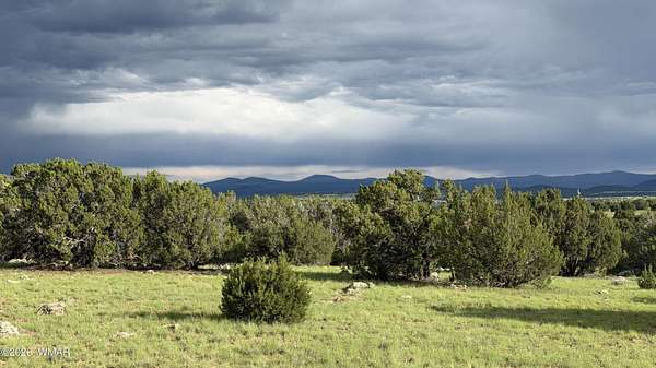 4.24 Acres of Residential Land for Sale in Concho, Arizona