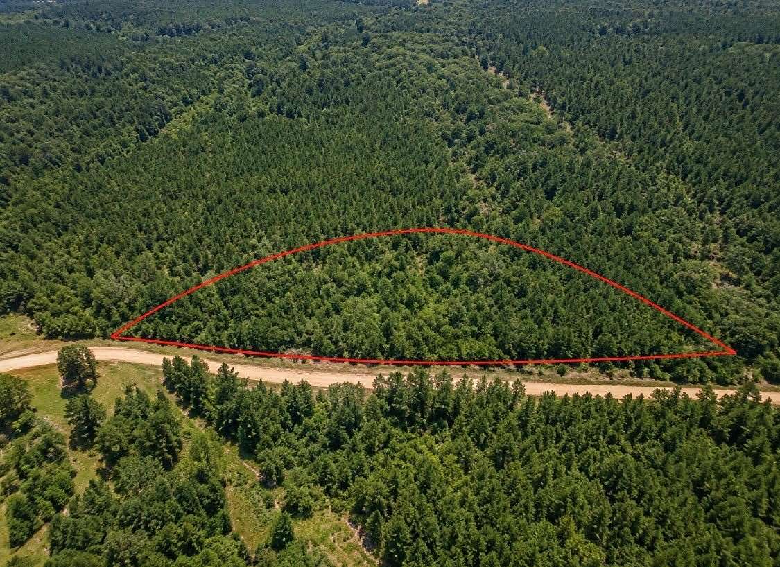 2 Acres of Residential Land for Sale in Raleigh, Mississippi