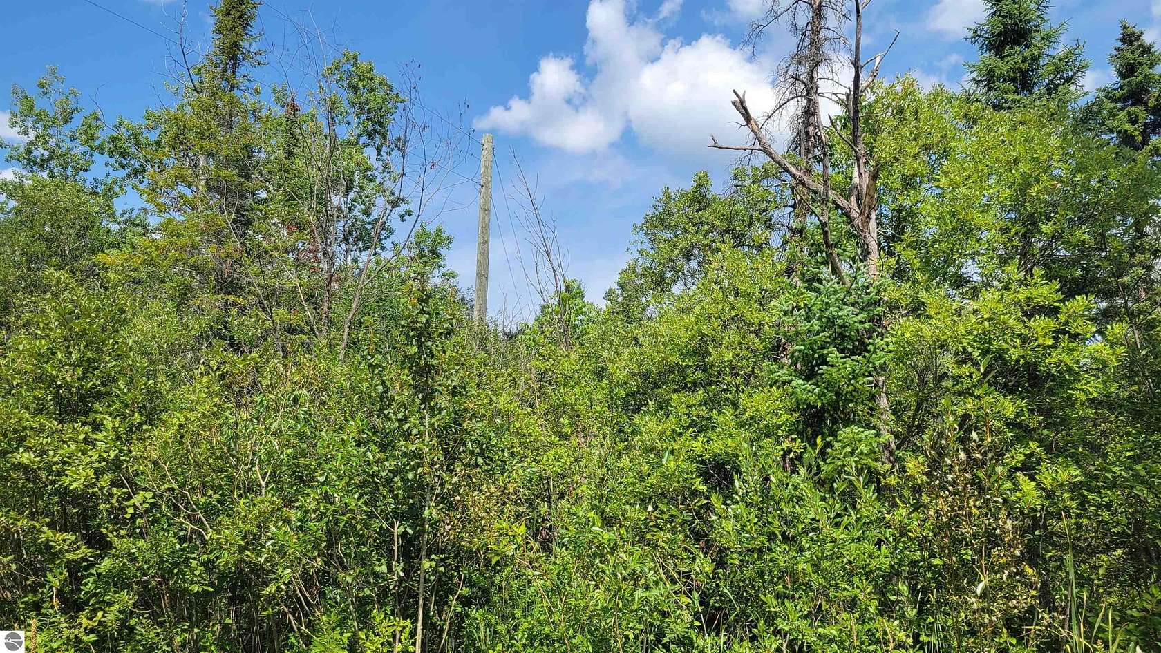1.2 Acres of Land for Sale in Wolverine, Michigan