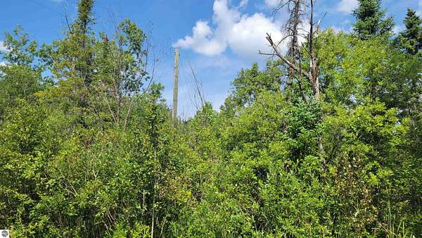 1.2 Acres of Land for Sale in Wolverine, Michigan