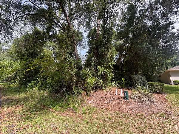 0.29 Acres of Residential Land for Sale in Dunnellon, Florida