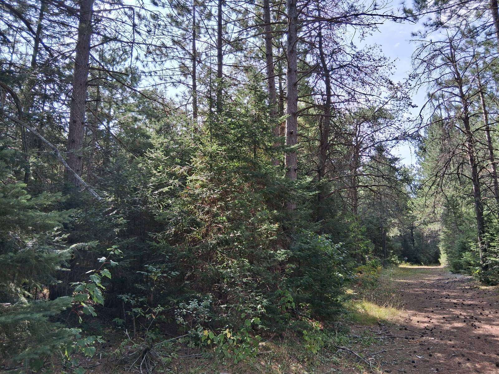 10 Acres of Recreational & Residential Land for Sale in Tomahawk, Wisconsin