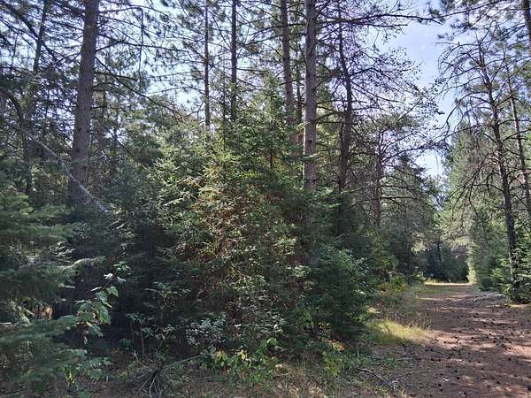 10 Acres of Recreational & Residential Land for Sale in Tomahawk, Wisconsin