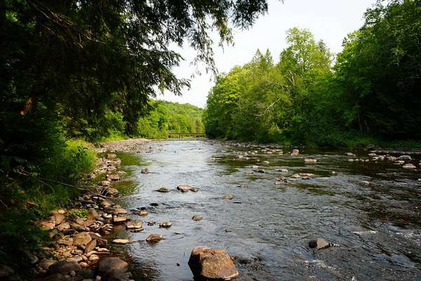 1,200 Acres of Recreational & Residential Land for Sale in Wakefield, Michigan