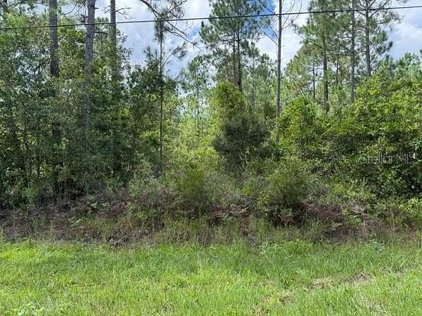 1.14 Acres of Residential Land for Sale in Bunnell, Florida