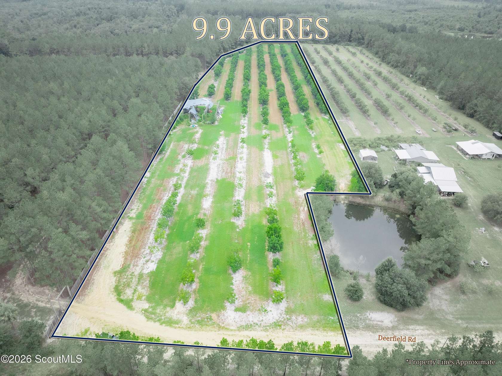 9.9 Acres of Land for Sale in Patterson, Georgia