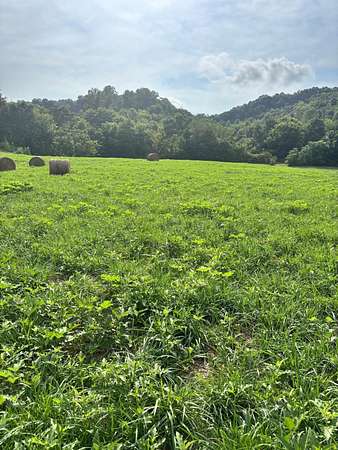 5 Acres of Land for Sale in Morristown, Tennessee