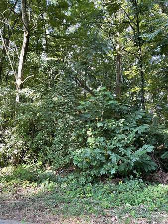 0.82 Acres of Residential Land for Sale in Morristown, Tennessee
