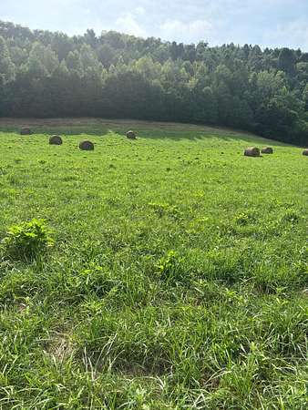 5 Acres of Land for Sale in Morristown, Tennessee