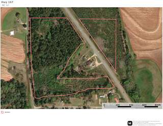 25 Acres of Recreational & Residential Land for Sale in Clayhatchee, Alabama