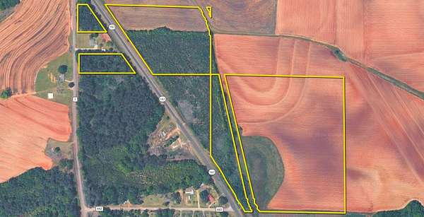 50 Acres of Land for Sale in Clayhatchee, Alabama