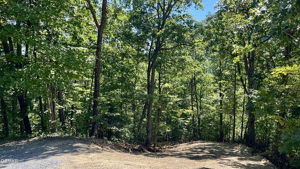 1.1 Acres of Residential Land for Sale in Sevierville, Tennessee