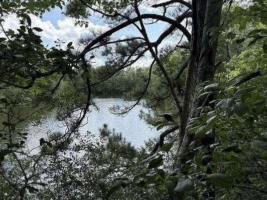 6 Acres of Commercial Land for Sale in Olanta, South Carolina
